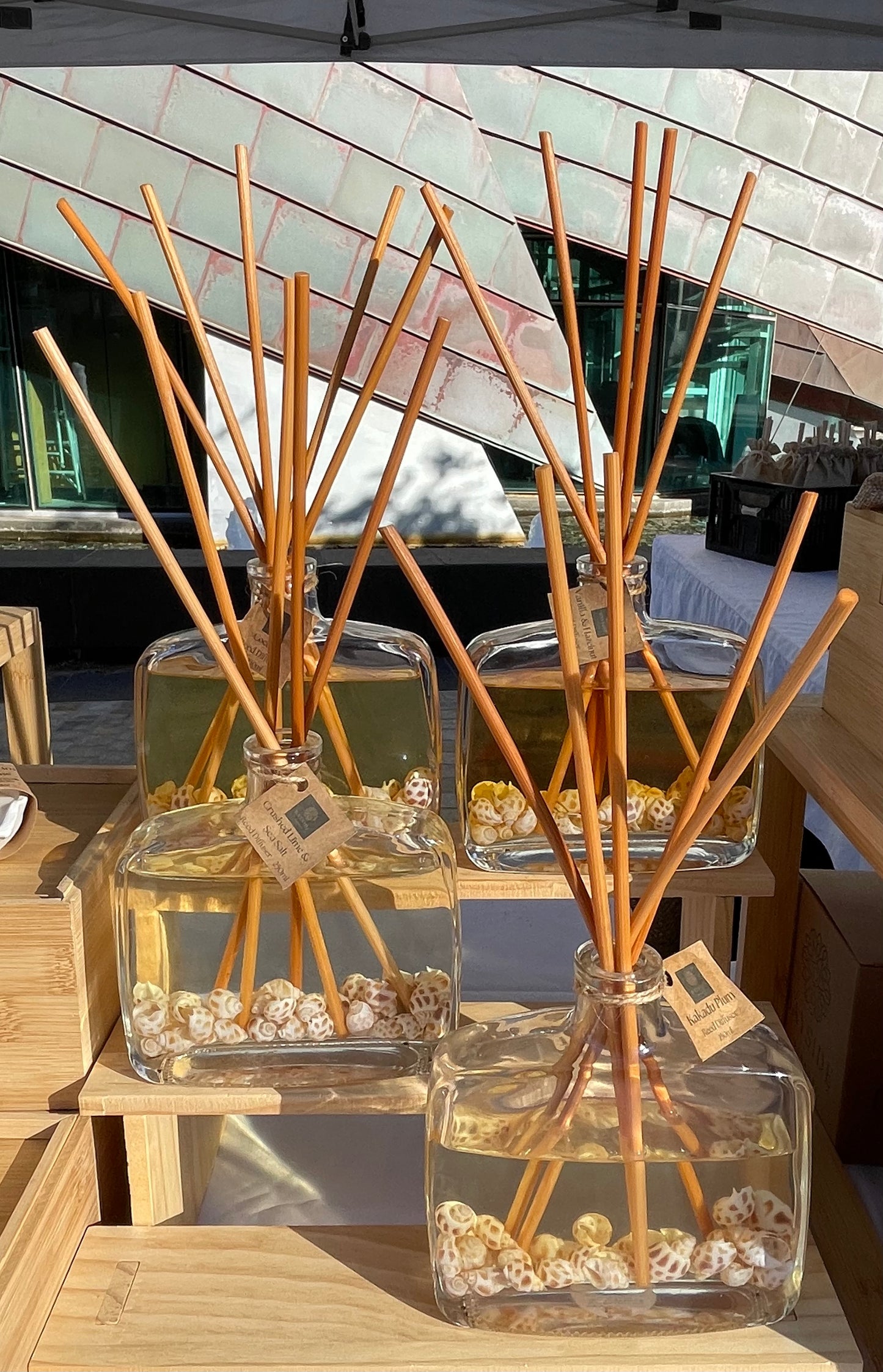 Shell Reed Diffuser