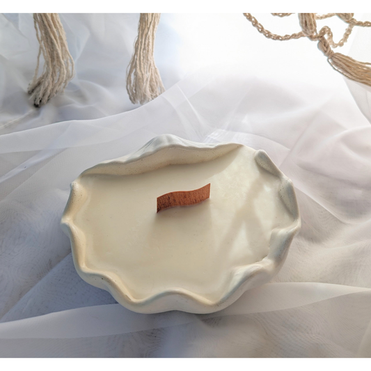 Clam shell - Large